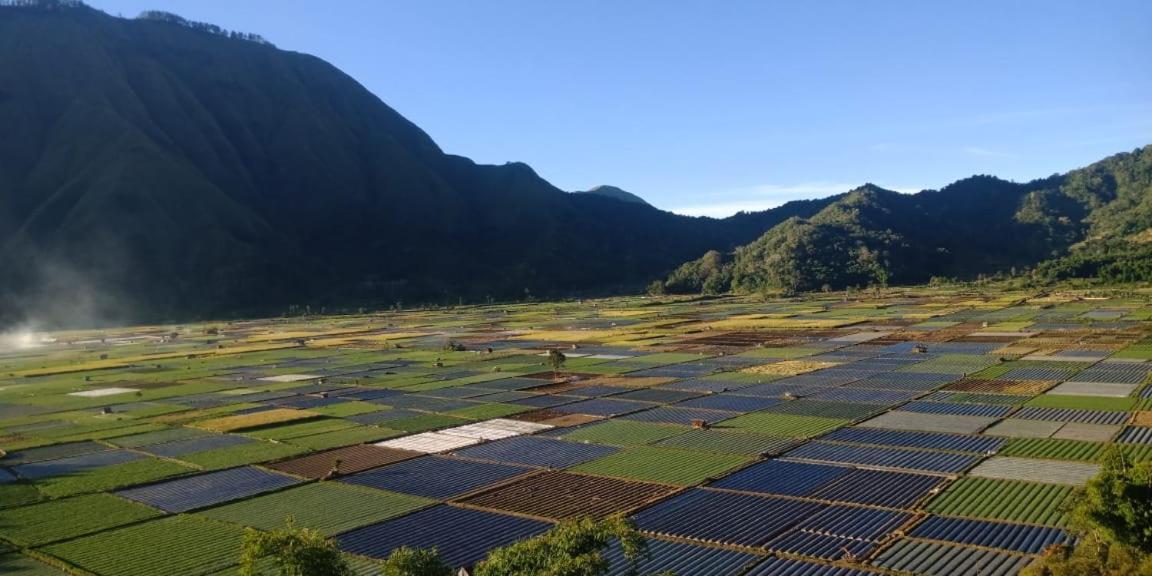 Rinjani Hill Hotel Сембалун Лауанг Екстериор снимка