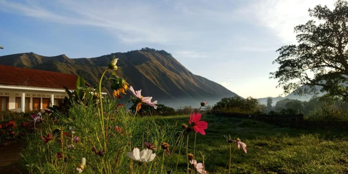 Rinjani Hill Hotel Сембалун Лауанг Екстериор снимка