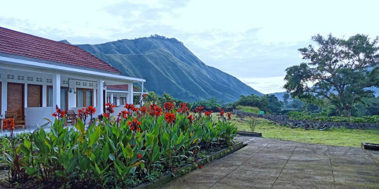 Rinjani Hill Hotel Сембалун Лауанг Екстериор снимка