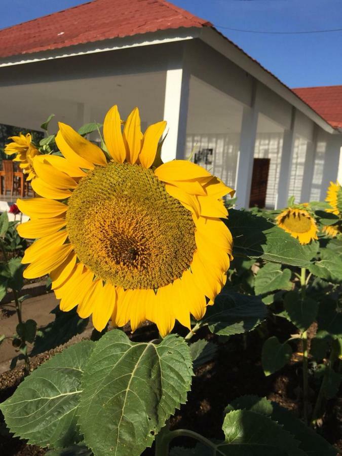 Rinjani Hill Hotel Сембалун Лауанг Екстериор снимка