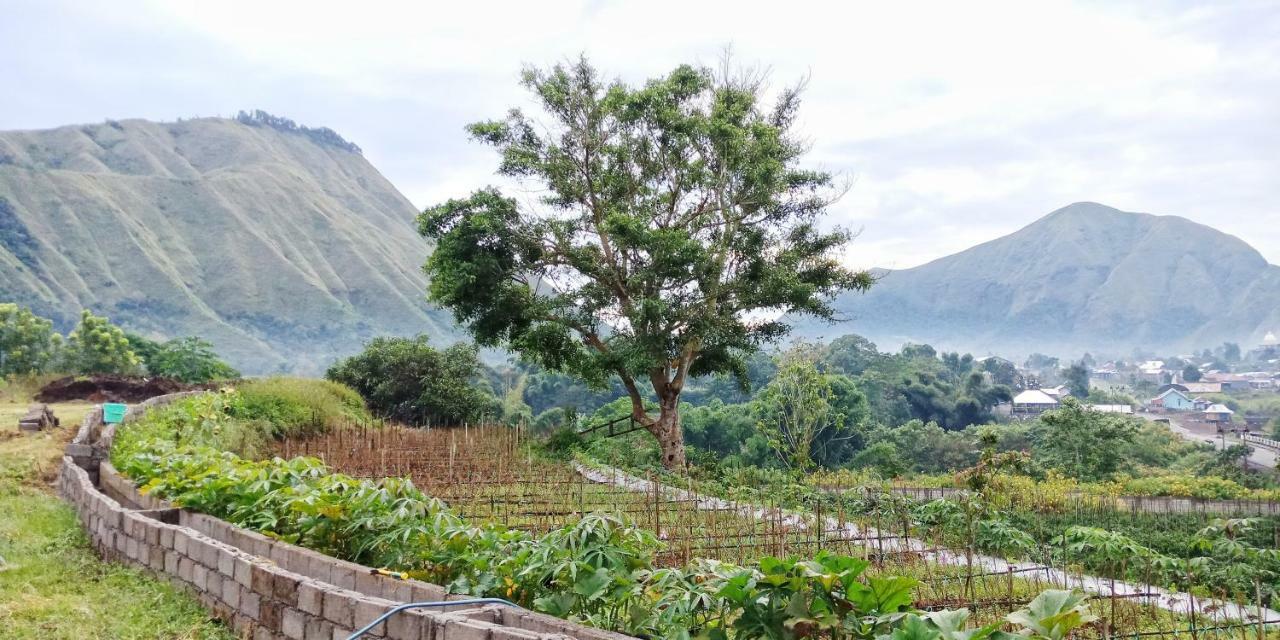 Rinjani Hill Hotel Сембалун Лауанг Екстериор снимка